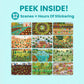 CUPKIN Sticker Book for Kids - Plants & Mushroom Theme, 500+ Stickers, 12 Scenes, 12 Coloring Pages, Ages 2-8