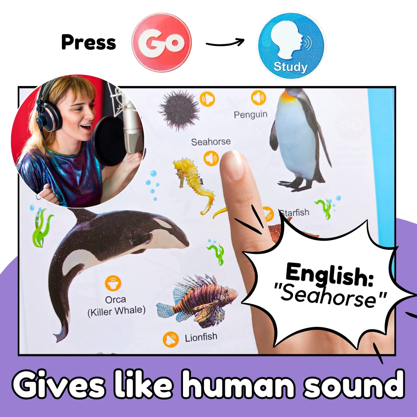 Zeenkind English Learning Talking Book For Kids 2 3 4 5 6 Years Old, 300+ Words Interactive Audio Sound Books For Toddlers, Early Learning Educational Electronic Musical Toy