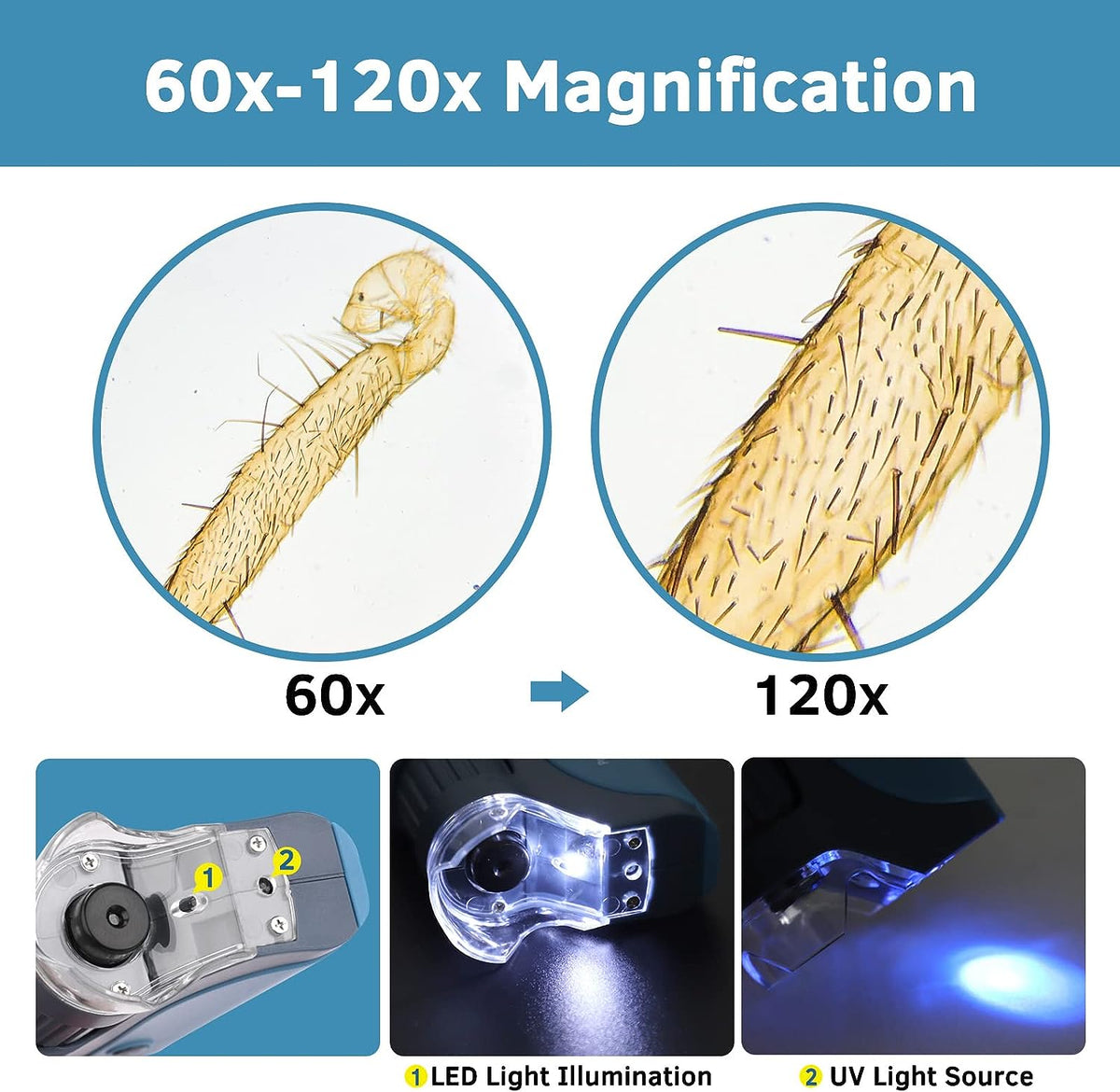 Global Investigator Microscope