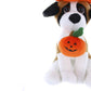 Plushland Halloween Pawpals 8 Inches Puppy Dog Plush Stuffed Toy Comes With Hat And Halloween Jack O Lantern - Pumpkin For Kids On This Holiday (Beagle)