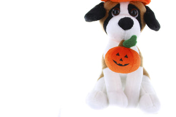 Plushland Halloween Pawpals 8 Inches Puppy Dog Plush Stuffed Toy Comes With Hat And Halloween Jack O Lantern - Pumpkin For Kids On This Holiday (Beagle)