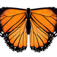Irolewin Toddler-Kids Butterfly-Wings For Girls Butterfly-Costume Children Bug Dress-Up Wings As Play Toys Boys Party Favors