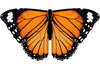 Irolewin Toddler-Kids Butterfly-Wings For Girls Butterfly-Costume Children Bug Dress-Up Wings As Play Toys Boys Party Favors