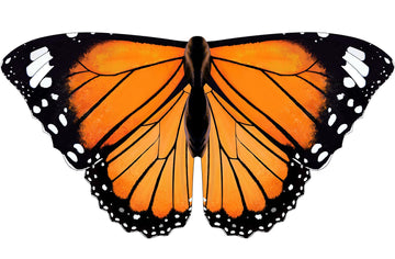 Irolewin Toddler-Kids Butterfly-Wings For Girls Butterfly-Costume Children Bug Dress-Up Wings As Play Toys Boys Party Favors