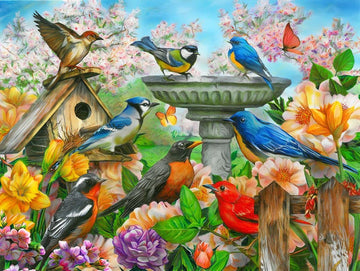 Springbok'S 500 Piece Jigsaw Puzzle Bird Bath - Made In Usa