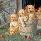 Cobblehill Cbl54638 Puzzle, Various