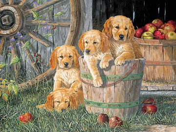 Cobblehill Cbl54638 Puzzle, Various