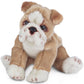 Bearington Tug The English Bulldog Plush  13 Inch Dog Stuffed Animal - Bulldog Stuffed Animal - Dog Plush Toys for Kids