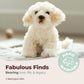 Bearington Collection Plush Dog Stuffed Animal - 13" White Puppy Toy for Kids, Maltipoo & Labradoodle Plushies