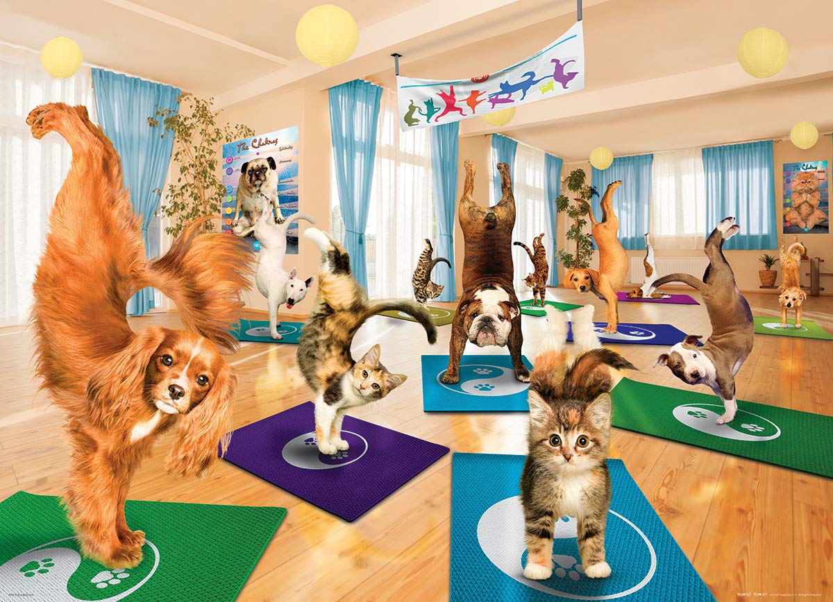 Eurographics Yoga Studio 300-Piece Puzzle