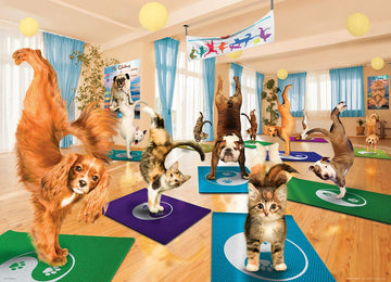 Eurographics Yoga Studio 300-Piece Puzzle