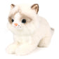 Ice King Bear Little Ragdoll Cat Stuffed Animal Kitten Plush Toy (Lying)