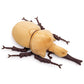 Zhongxin Made Realistic Gold Atlas Beetle Plush Toy - 10'' Atlas Insect Beetle Stuffed Animal, Soft Crustaceans Animals Model, U