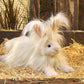 Folkmanis Angora Rabbit Hand Puppet, White
