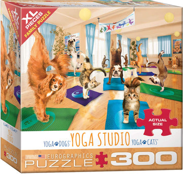 Eurographics Yoga Studio 300-Piece Puzzle