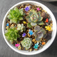 500 Pieces Tiny Turtles Family For Dollhouse Miniatures Luminous Resin Animals For Crafts Mini Animal For Fairy Garden Micro Lan