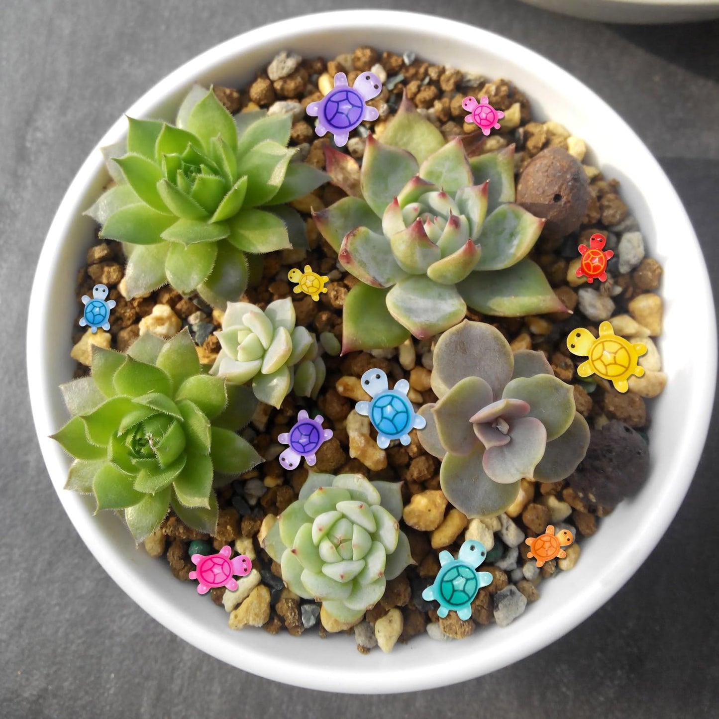 500 Pieces Tiny Turtles Family For Dollhouse Miniatures Luminous Resin Animals For Crafts Mini Animal For Fairy Garden Micro Lan
