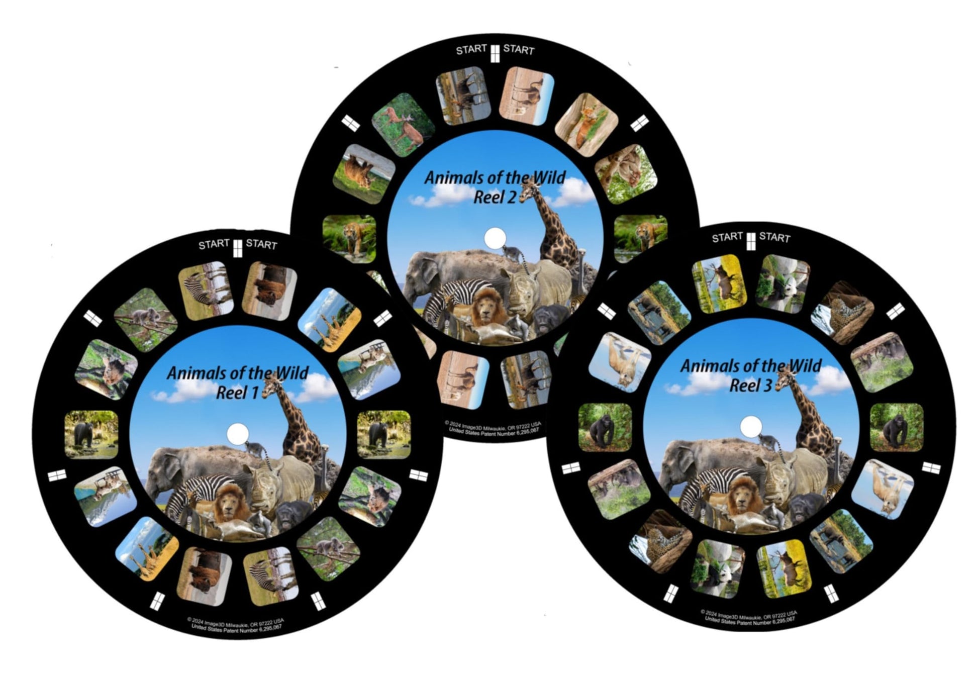 Animals of The Wild, Viewfinder reels with 3D Images (Set of 3 Reels) 21-3D Images Compatible with Classic Viewmaster and Image3