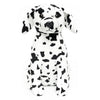 Weigedu Dalmatian Stuffed Animals, Stuffed Dalmatian, Stuffed Puppy Dog Plush Toys For Boy Girl Kids Birthday, 12 Inches