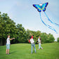 Honbo Butterfly Kites For Kids & Adults,55'' X 28'' Large Beginner Kite For Kids Ages 4-8,Easy To Fly For Beginners, Each Kite W