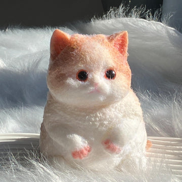 3DTaba Squishy Cat,Cat Taba Squishy,Squishy Toys,Taba Cat Squishy Squeeze Toys,Adorable Squishy Cat, Large Taba Soft Giant Squis
