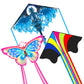Kites for Kids & Adults, Beach Kites Set for Beginners, Easy to Fly for Boys and Girls, 300ft Kite String Included, Perfect for 