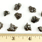 DANCING BEAR Meteorite from Space, 5 pcs Campo del Cielo from Argentina/Educational Card & Magnifying Box