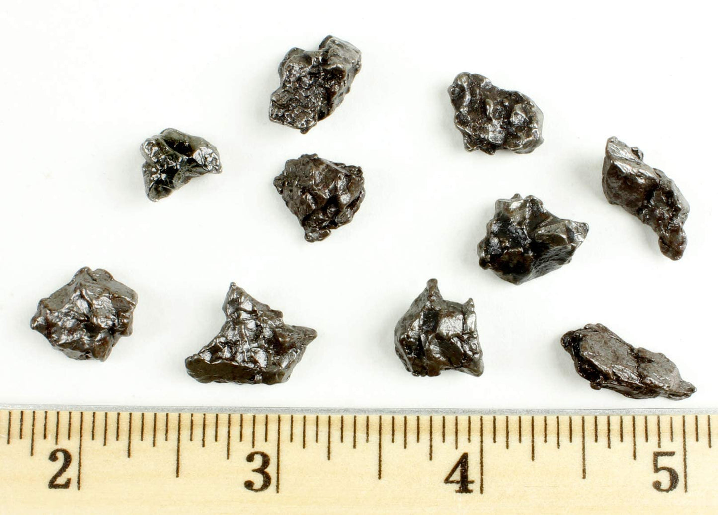 DANCING BEAR Meteorite from Space, 5 pcs Campo del Cielo from Argentina/Educational Card & Magnifying Box