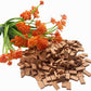 Cayway Mini Red Wall Bricks - 420Pcs Tiny Bricks For Landscaping & Dollhouse Mini Gardens