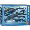 EuroGraphics 1000-Piece Whales and Dolphins Puzzle - Blue & White, Paper, Model 6000-0082