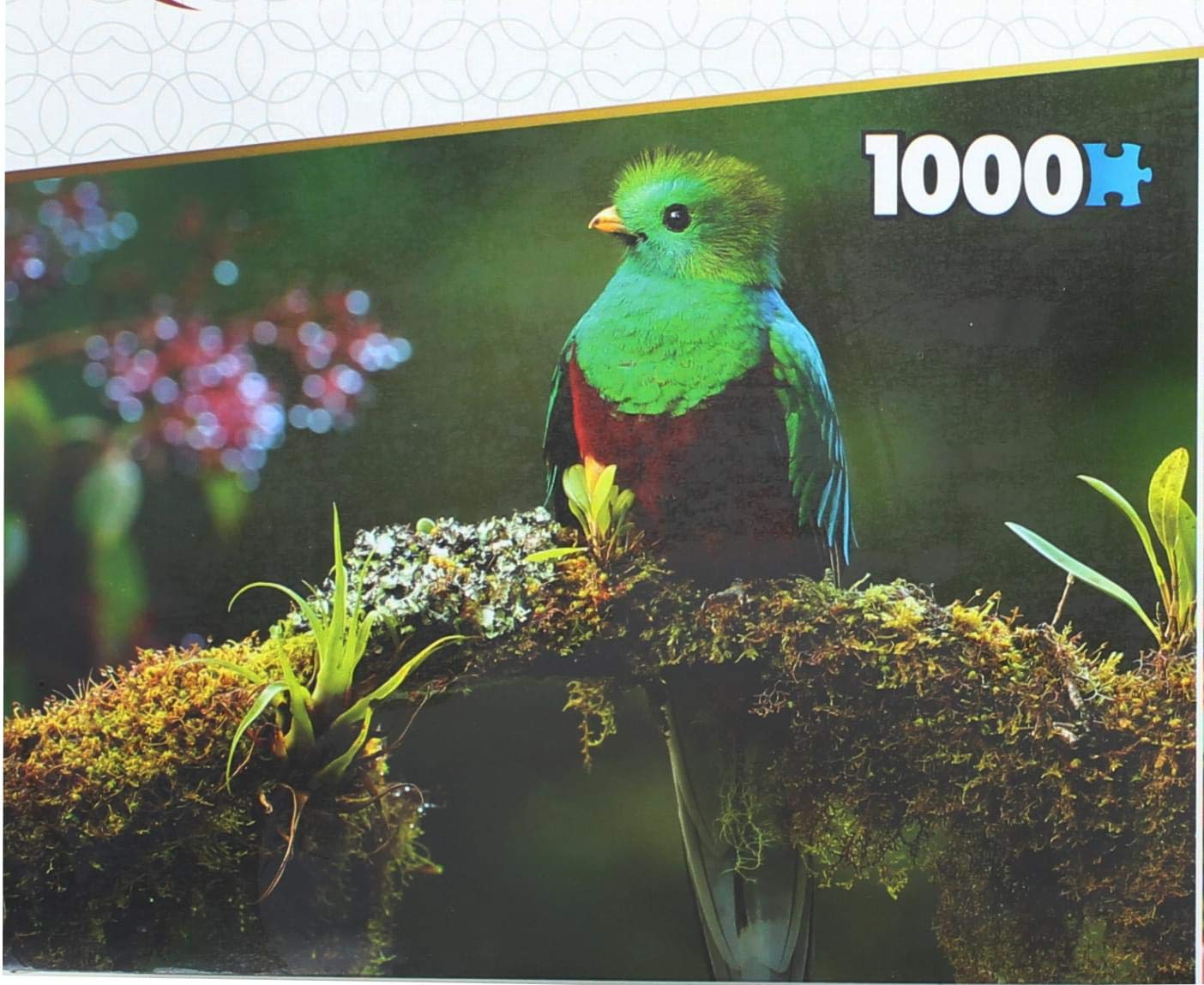 Set Of 2 Keepsakes 1000 Piece Jigsaw Puzzles | Colorful Birds