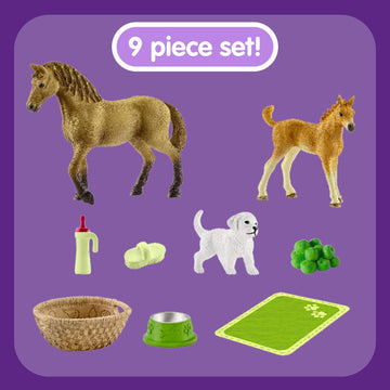 Sarahs Baby Animal Care With Quarter Horse