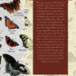 Masterpieces 1000 Piece Jigsaw Puzzle For Adults, Family, Or Youth - Butterflies Of North America - 19.25''X26.75''