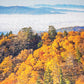 Beduke Jigsaw Puzzles 1000 Pieces For Adults Great Smoky Mountain National Park 1000 Piece Puzzle Thick Sturdy Precise Interlock