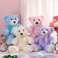Civaner 4 Pack 14 Inches Valentine'S Day Bear Plush Stuffed Animals Cute Soft Bears Gifts Bulk For Girls Boys Girlfriend(Pink, B