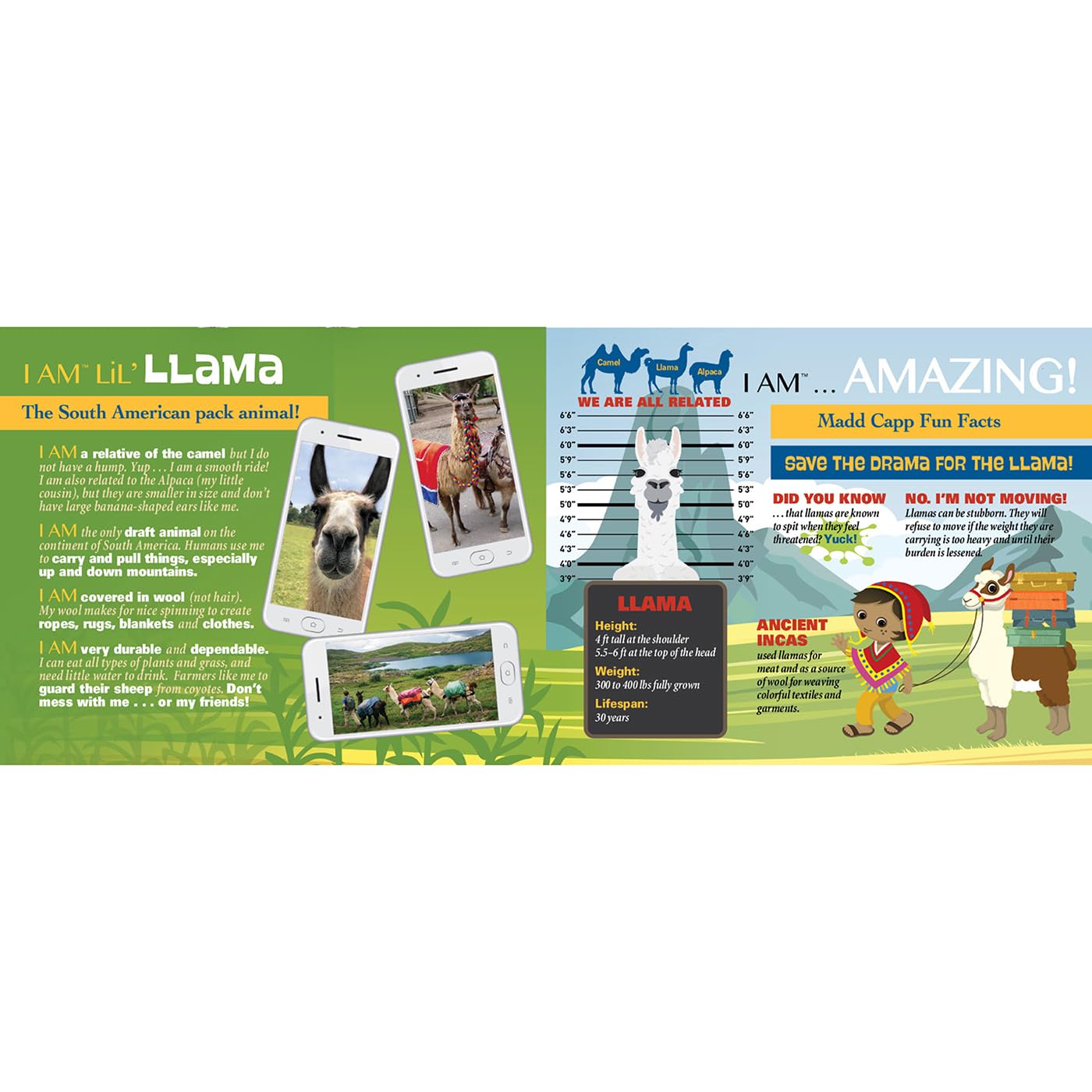Madd Capp Puzzles Jr. - I Am Lil Llama - 100 Pieces - Animal Shaped Jigsaw Puzzle