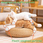 White Cat Plush Toy Realistic Cat Weighted Stuffed Animals, 28' Cute Soft Kitty Plushie Doll Gift For Boys Girls Birthday Christmas, 1.8 Lbs