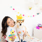 Pearhead Puppy Pinata Dog Toy, Rope Tug Toy for Dogs, Colorful Interactive Dog Toys, Party Pinata Toy for Dogs, Plush Chew Toy,