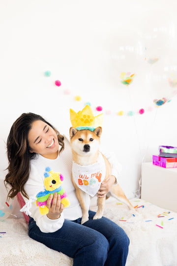 Pearhead Puppy Pinata Dog Toy, Rope Tug Toy for Dogs, Colorful Interactive Dog Toys, Party Pinata Toy for Dogs, Plush Chew Toy,