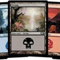 Magic: The Gathering 500 Basic Lands - 100 Of Each Land Type (Plains, Islands, Swamps, Mountains, Forests)