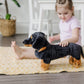 Melissa & Doug Giant Dachshund Stuffed Animal - Large, Lifelike Design, Black & Tan, Model 4854, 100% Polyester