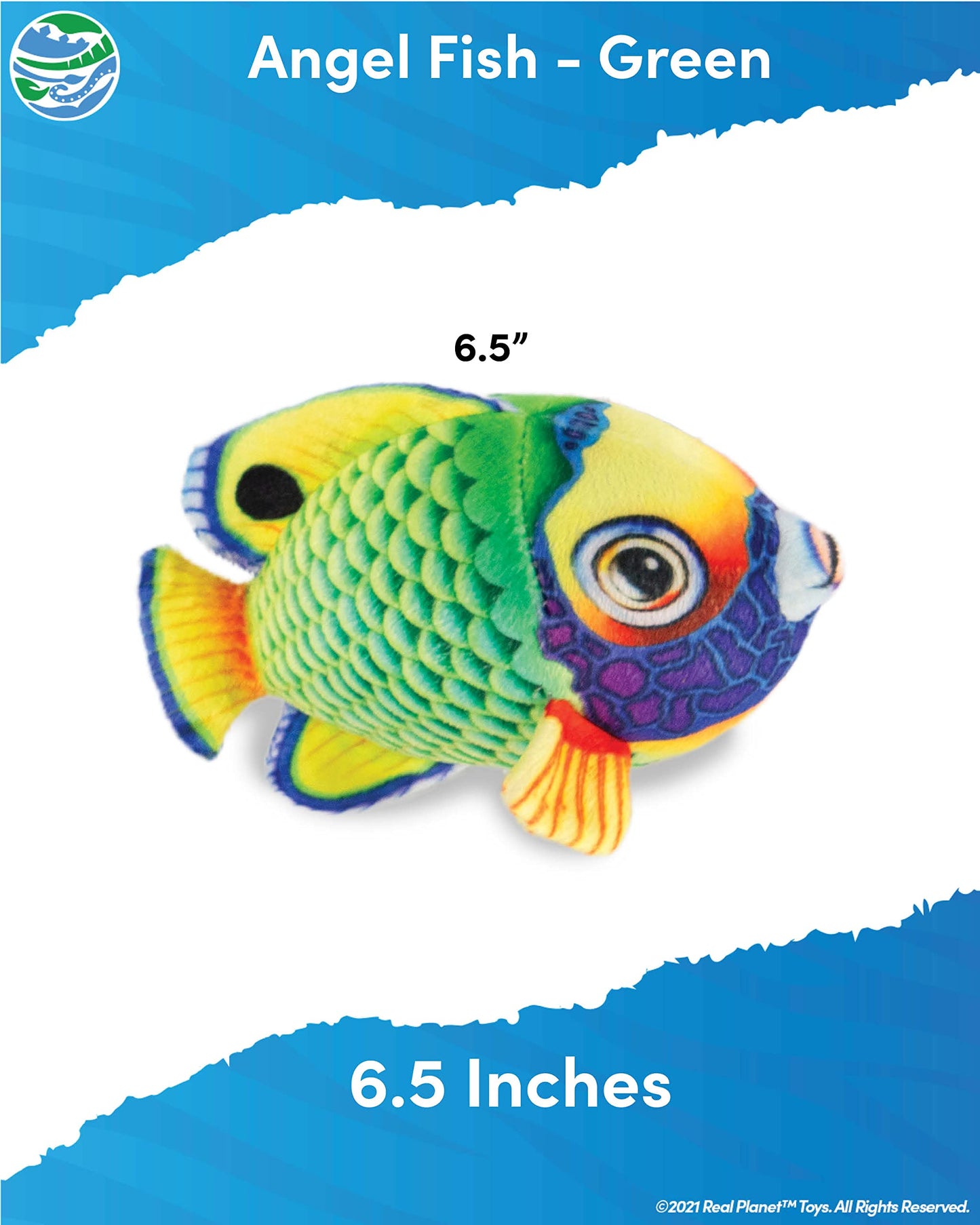Real Planet Sea Life Plush - Soft Stuffed Animal Gift For Kids All Ages, Sea Ocean Fishing Plushie, Fun Christmas Birthday Gifts (Striped Angel Fish, 6.5') (Green)