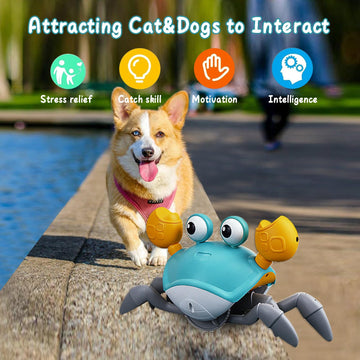 Dog Toys Escaping Crab Crawling Dog Toy With Music Control & Lights, Dancing Crab Dog Toy Obstacle Avoidance Interactive Fun Toys For Puppy/Small/Medium Dogs (Green)