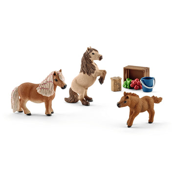 Schleich Horse Club 8-Piece Horse Toy For Girls And Boys Ages 5+, Miniature Shetland Pony Family