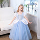 Axaxa Cinderella Costume For Girls Cinderella Dress Princess Dresses For Girls Halloween Party Cosplay With Accessories