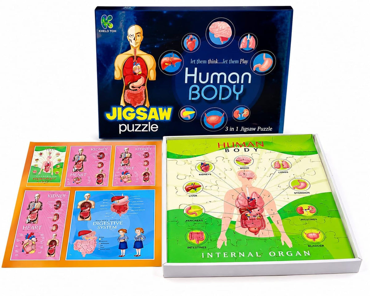 Khelo Toh Human Body Anatomy Jigsaw Puzzle 3 in 1 Set