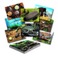 Prehistoric Teeth  Explore and Discover Activity Cards, Set of 16