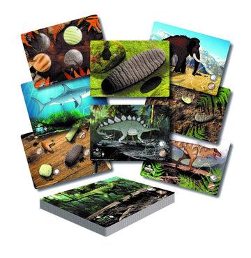 Prehistoric Teeth  Explore and Discover Activity Cards, Set of 16