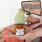 Positive Cactus Crochet, 4.3 Inch Handmade Knitted Cactus Toy Funny Potato Mexican Cactus Cute Emotional Support Life Plant Doll Gifts With Encouragement Card For Adults Kids Decoration