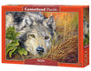 CASTORLAND 500 Piece Jigsaw Puzzle  Pure Soul  Animal Puzzle  Wolf  Nature Puzzle  mature-themed Puzzles  Castorland B-53285